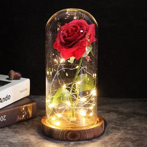 Bella Rosa - O Presente Mais Lindo de Todos UseModerni 