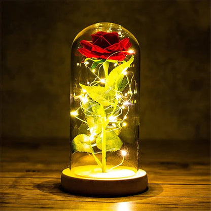 Bella Rosa - O Presente Mais Lindo de Todos UseModerni 